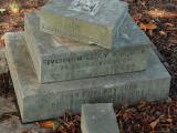 image of grave number 292188